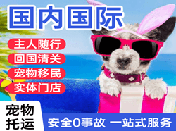 琼海机场快运国际宠物托运 【国